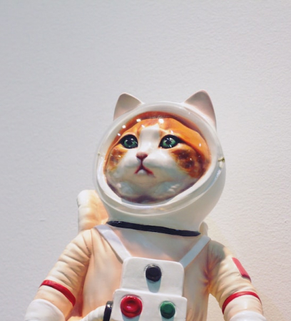 Space Astronaut Cat Kitten